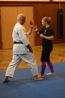 Bild (23)